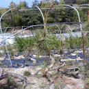 욱이농장 이미지