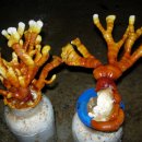 장생농장 이미지