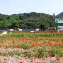 하동 이미지