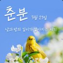 낮과 밤의 길이가 같다는 오늘은 춘분 이미지