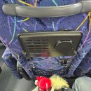 하나사 | 도쿄 3박4일 가족여행 2일차 후지산 당일투어 후기