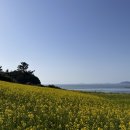 꽃집초이 이미지