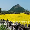 정방동-03 티스토리