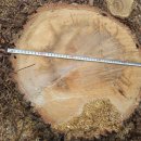 은평-027 이미지