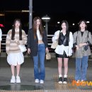 릴리 이미지