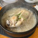 [경기 안성시 맛집] 안성맛집 몸보신 한그릇 양성한방녹두삼계탕 내돈내산 후기