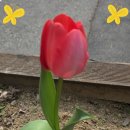 동내경로당 이미지