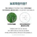 루체테스킨앤바디