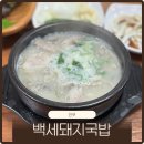 진주 로컬맛집 호탄동 백세돼지국밥 후기