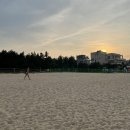 바다사우나 이미지