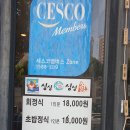 싱싱魚 이미지