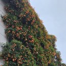 대봉1동행정복지센터 4층 이미지