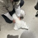 무비랜드 오타쿠는 말이 많다