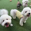 제일도기주