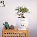 채움한방병원 이미지