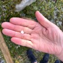 우박이네 | 밴프여행 선샤인메도우에서 우박맞고 트래킹한 후기(feat. 곤돌라, 리프트 운행중지썰)