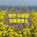 송송 스테이 이미지