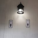 포레스트 랩(FOREST LAB) 이미지