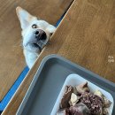 카페록록 darbo 살구잼, 제주세화오일장 애플망고와 순대, <b>카페</b><b>록록</b>, 온정메밀, 한식뷔페 세화리, 무슈부부...