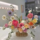 엠에스스튜디오 이미지
