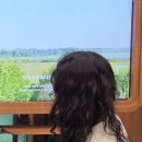 까꼬뽀꼬 이미지