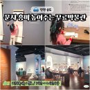 법전초등학교 | 국립세계문자박물관 주차 예약 송도 아이랑 가볼만한곳 실내 주말