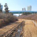 운중공원 이미지