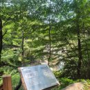 장산산림욕장약수터 이미지
