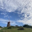 바다(家) 이미지