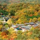 하동 이미지