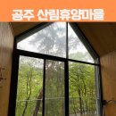 양재2동주민센터 프로그램4실 | 자연휴양림 공주산림휴양마을 봉황산 예약, 꿀팁, 후기, 목재 문화체험장, 주변 관광지, 맛집까지 총정리!