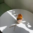 중앙동 | 안산 중앙동 "꼬모젤라또" 다녀온 후기