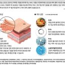 제이에스케이