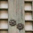 고색창연 이미지