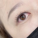 142뷰티 | 대구속눈썹 슈엘뷰티 후기 자연스러운 컬과 높은 유지력