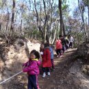 진도유치원 이미지