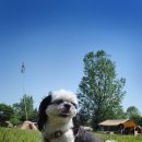 스노우피크 춘천 이미지