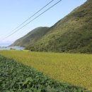 남양동사무소 이미지