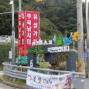 추곡낚시터 | [소양호] 추곡 낚시터의 모든 것