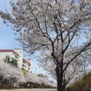 합정초 삼거리 이미지