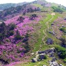 남해-143 이미지