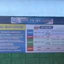 거제 장승포농협주유소 자동세차기 #내돈내산 #리뉴얼
