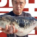 임포횟집 이미지