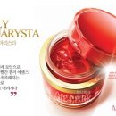 리스타 이미지