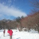 이선생댁 이미지