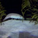 서울아쿠아룸 이미지