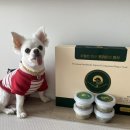 우월한 탄산 이미지