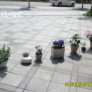 나성동_명동프라자앞BRT 이미지