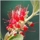 달맞이팬션 이미지