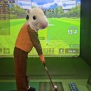 조이스포츠스크린 이미지